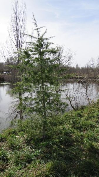 Foto 7cd36de9-c06f-4b43-9b53-45456ae71aeb. Finca rústica a Sotosalbos