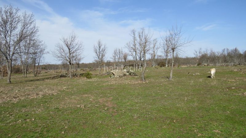 Foto 7f17e22c-923a-4f43-99cf-2186992744ea. Finca rústica a Sotosalbos