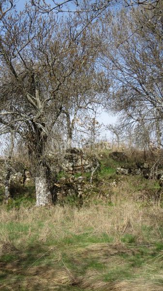 Foto 834fcdd9-bab5-46ce-abd7-4d37d429480c. Finca rústica a Sotosalbos