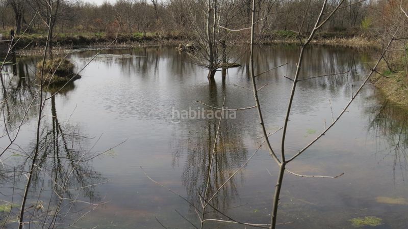 Foto b45d8e14-dfc9-4095-b08d-94733bbc6ae9. Finca rústica a Sotosalbos