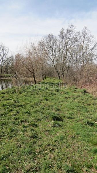 Foto f0ead77e-1932-4b37-8254-0ade99d8bb7e. Finca rústica a Sotosalbos