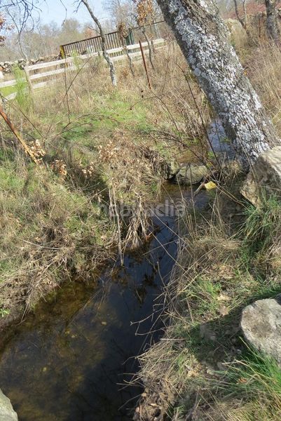 Foto 5479fca3-fb69-4936-b7de-881ae7754f16. Finca rústica a Sotosalbos