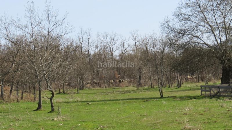 Foto 56cc20f5-2586-4207-8114-2d0694fcdcb9. Finca rústica a Sotosalbos