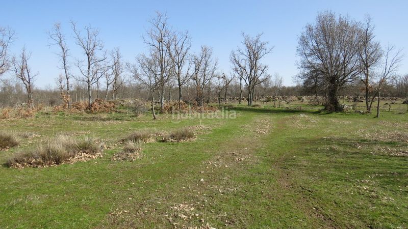 Foto 7a08f90f-0de1-496f-a1b6-f74af78f7b58. Finca rústica a Sotosalbos