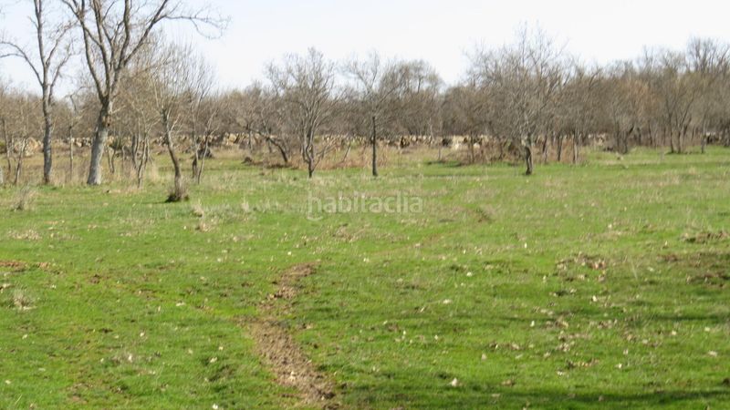 Foto aaa612a8-2484-4ca6-98cf-a22097a85ac8. Finca rústica a Sotosalbos
