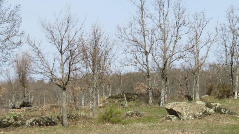 Foto ac845fd0-5140-459b-86c0-ea767492385e. Finca rústica a Sotosalbos