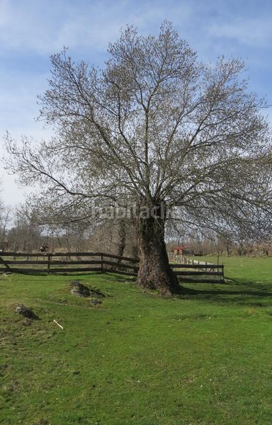 Foto bddba1c0-519a-4243-9064-c39980d1929a. Finca rústica a Sotosalbos