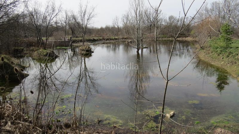 Foto d3374630-0505-4944-b940-3e8138bacdbd. Finca rústica a Sotosalbos