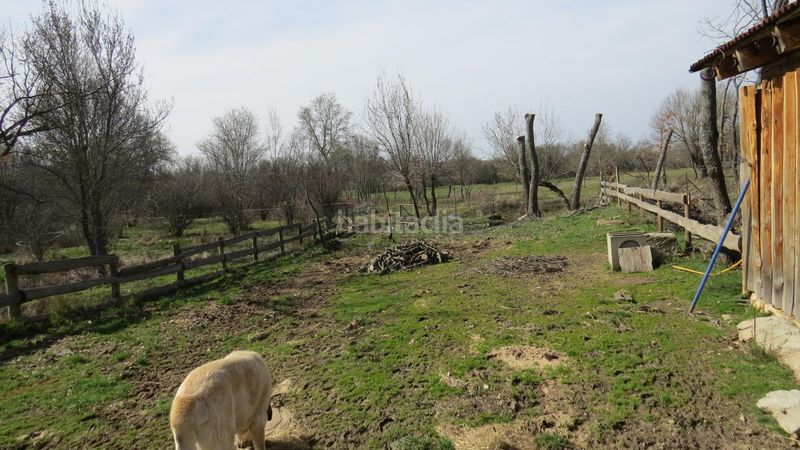 Foto e9a9aa5f-40f0-465b-a9d2-28a2a98246dc. Finca rústica a Sotosalbos