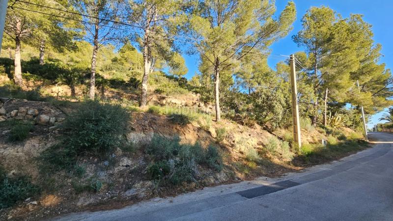 Foto 82761c70-a147-49dd-80b1-4563da228ff1. Terreno residencial en Alcossebre