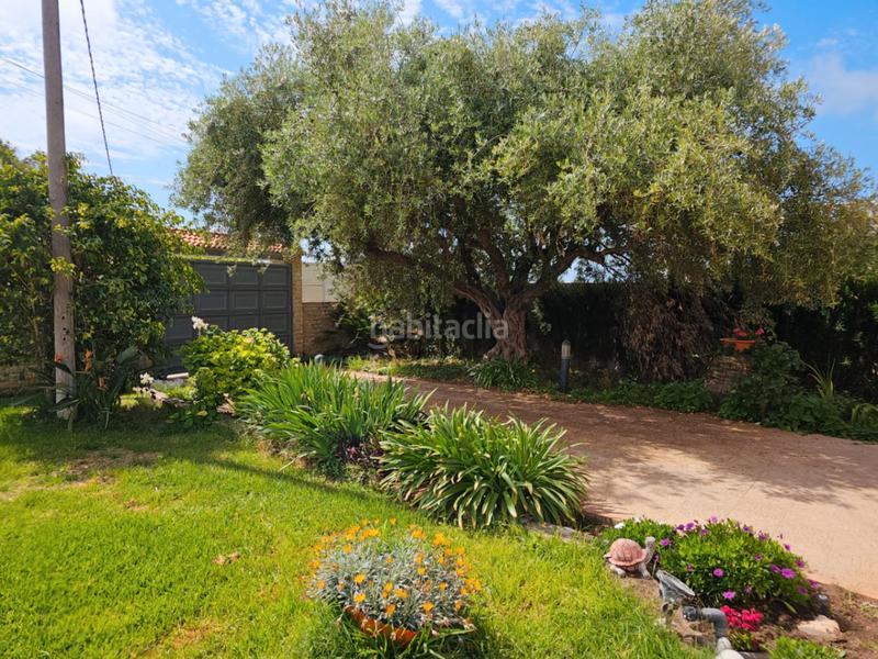 Foto f0e38cdf-8afa-4015-9d0b-2bf3e571911b. Chalet en Torreblanca