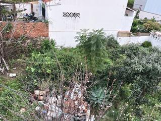 Terreny residencial  Calle el mirlo. Terreno en venta en rinconcillo