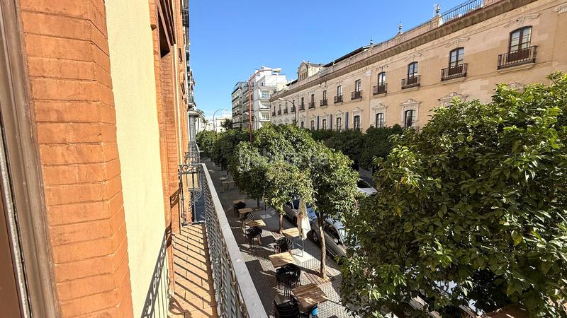 Foto 77c5a62c-0065-4d69-8c2f-327fe71d5393. Pis a Arenal - Museo Sevilla