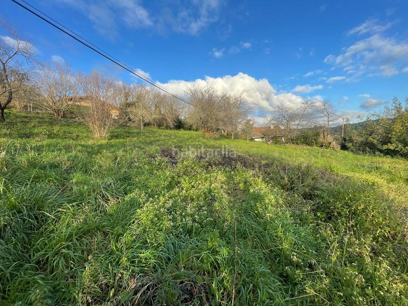 Foto 52f2c3e5-9707-4fab-aaee-467f91fc8271. Chalet  elexalde auzoa, arrankudiaga en Arrankudiaga / Zollo