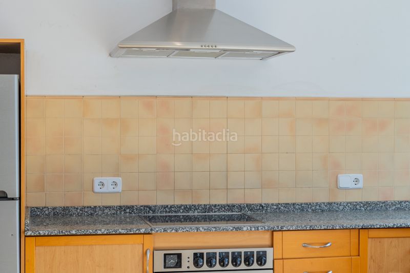 Foto 7385444d-69c9-45b3-81ff-f13a863237b1. Pis a La Petxina Valencia