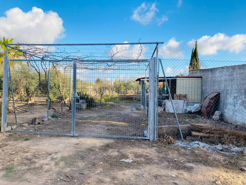 Foto 4dd8e411-57a6-4b88-b5c4-685a92075bf3. Masia amb aparcament a El Jimenado Torre - Pacheco