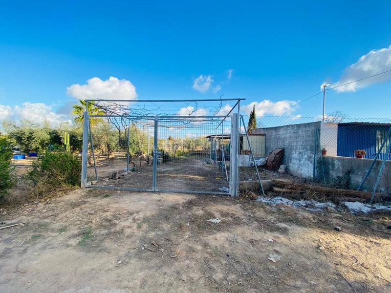 Foto b006aa4a-d5ac-4475-9c39-bfe296002263. Masia amb aparcament a El Jimenado Torre - Pacheco