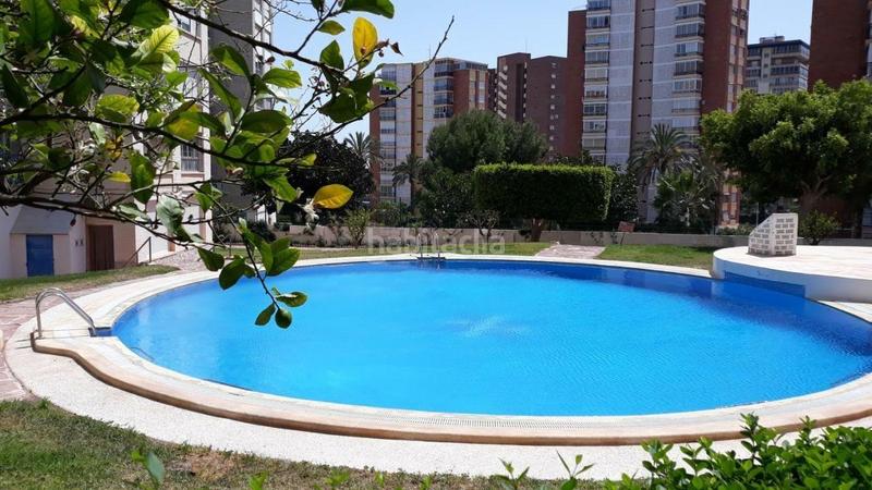 Foto 12fa4efe-2b18-4c31-aabf-aa6612828c8d. Miete appartement mit pool in Playa Poniente Benidorm