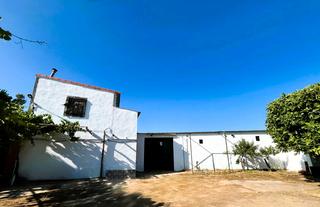 Masia a Guadamur. Finca rustica & naves en venta en guadamur