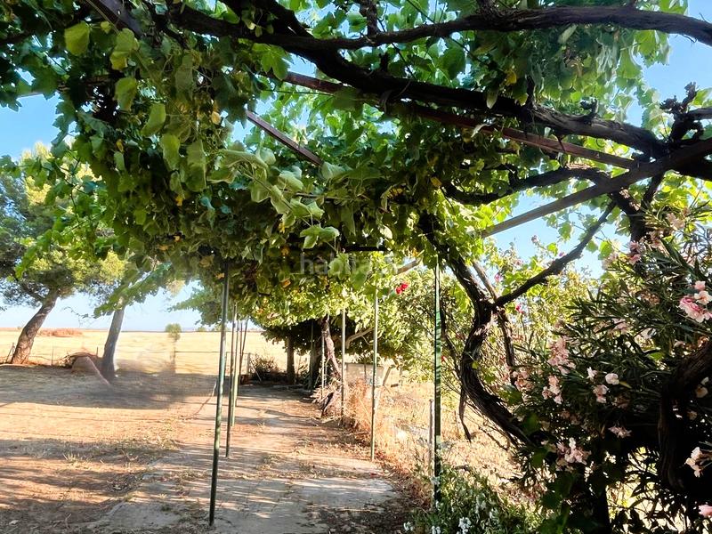 Foto 3f05af71-c644-4772-83c6-c30305e0e969. Masia amb xemeneia aparcament a Guadamur