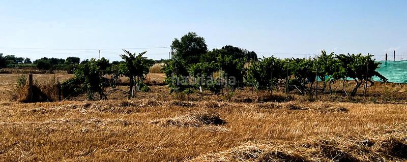 Foto 528fcb2b-3d6f-4779-a139-6d0cda823239. Masia amb xemeneia aparcament a Guadamur