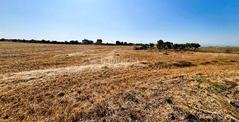 Foto 5fa1d032-61f7-42d7-9419-5d7f9dc9c210. Masia amb xemeneia aparcament a Guadamur