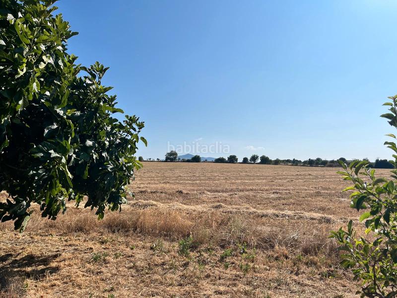 Foto cc15743b-1466-4a1e-a55c-d8e68d305477. Masia amb xemeneia aparcament a Guadamur