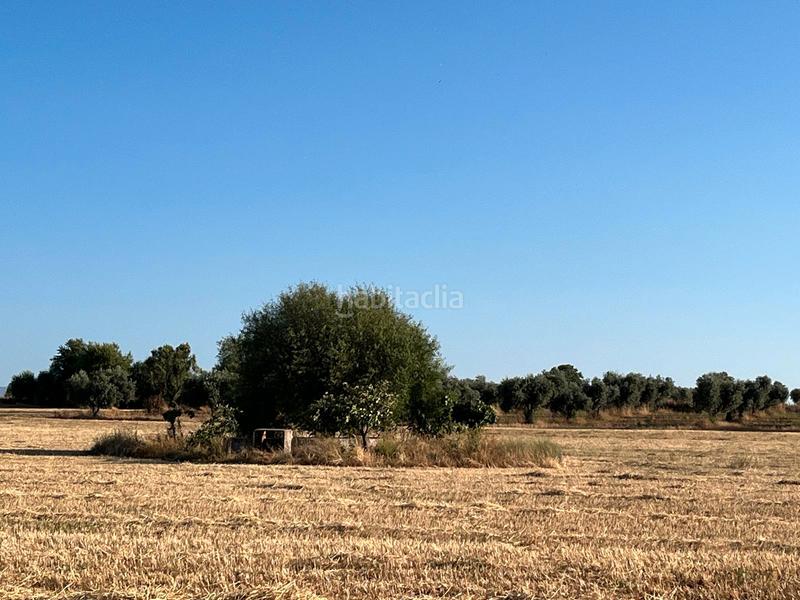 Foto d777596d-ea0d-4523-9307-2764d96cb1cd. Masia amb xemeneia aparcament a Guadamur