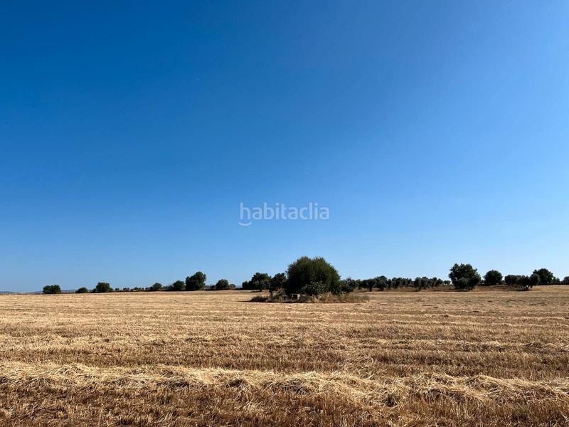 Foto f6c7ccf9-ea43-496c-b705-64c755c9c3f0. Masia amb xemeneia aparcament a Guadamur
