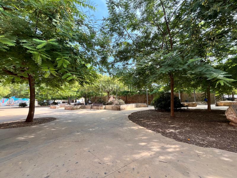 Foto c2f06649-fe94-43e0-b461-8dfa61152ced. Pis a Orihuela ciudad Orihuela