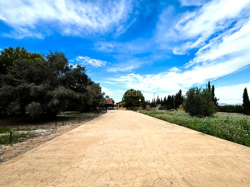 Foto 4d3fa15f-8e78-44a7-b00c-e7a3ddbc58ff. Casa in carretera de la matanza 11 in Benferri