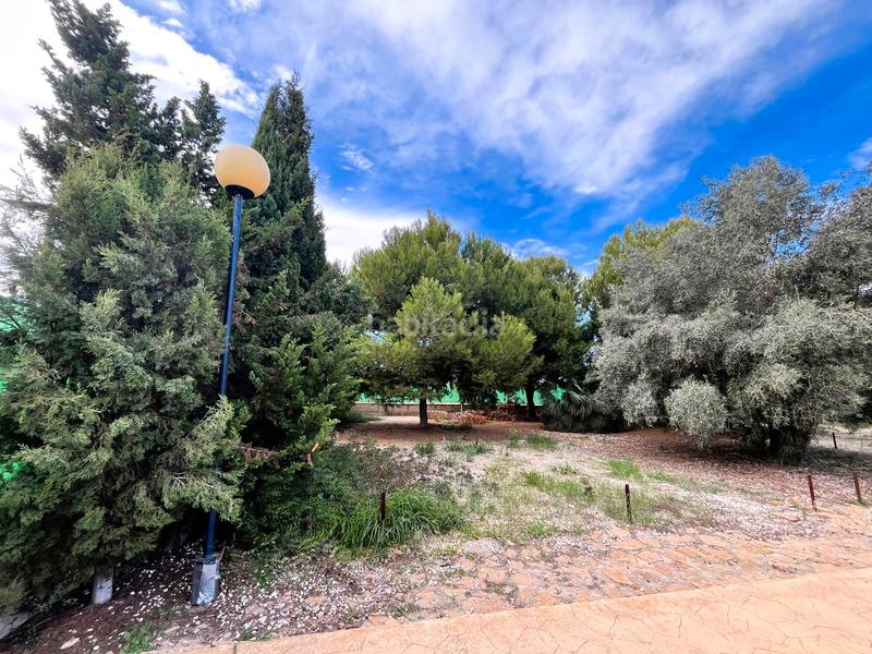 Foto 9f1469e9-4a78-4fb4-837c-6ed5af010313. Casa in carretera de la matanza 11 in Benferri