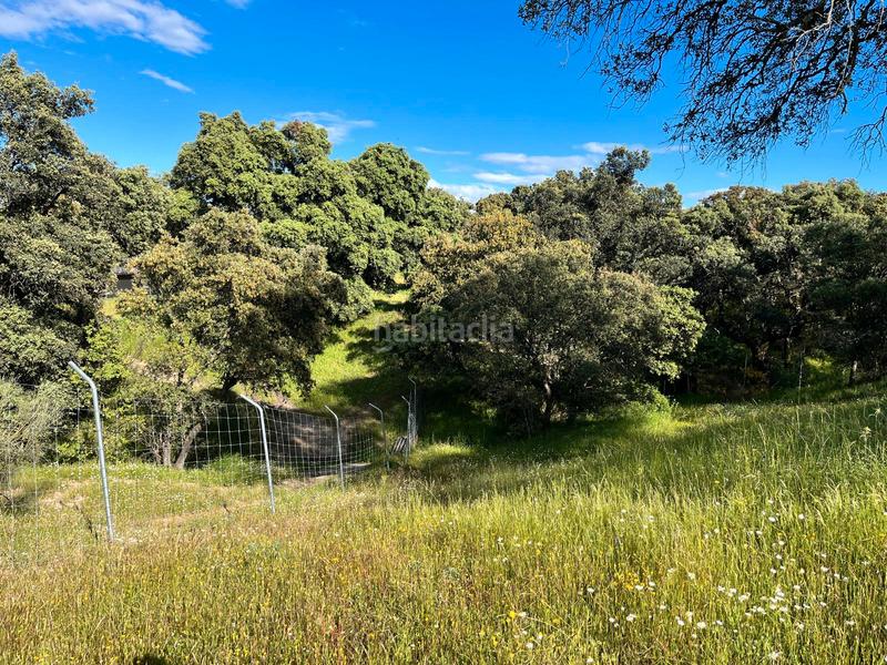 Foto 303c6ef8-a23f-49eb-b11d-7a85f0f82980. Masia amb xemeneia calefacció aparcament piscina a Santa Cruz del Retamar