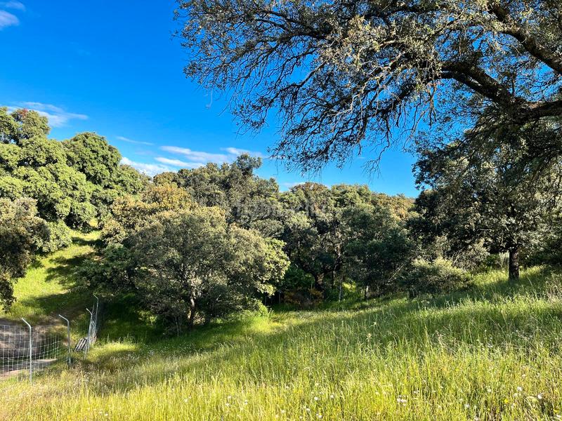 Foto 5fd82ffc-ff4c-46e9-bca2-f67b5accf989. Masia amb xemeneia calefacció aparcament piscina a Santa Cruz del Retamar