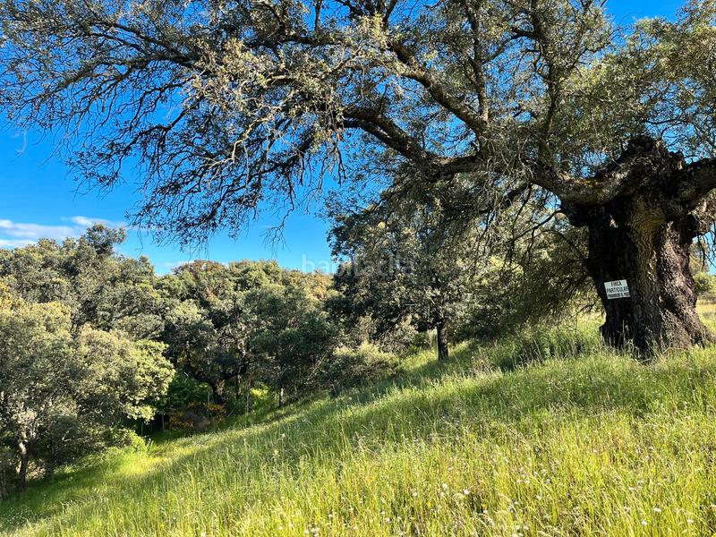 Foto 70e310d9-236d-4d62-9dc5-d2b8baa73190. Masia amb xemeneia calefacció aparcament piscina a Santa Cruz del Retamar