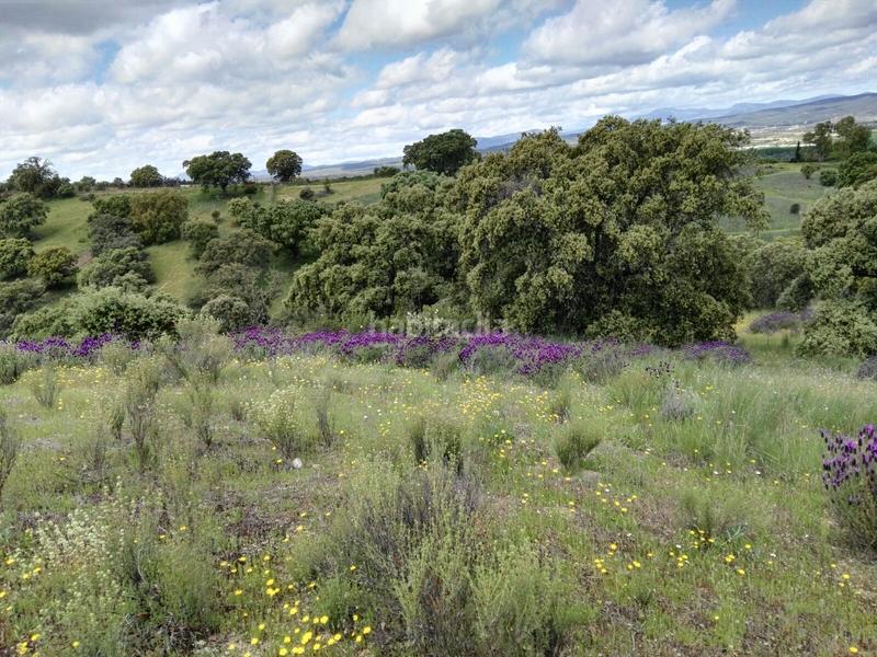 Foto 82045cc0-16c4-4834-88bd-14caf7840b8a. Masia amb xemeneia calefacció aparcament piscina a Santa Cruz del Retamar