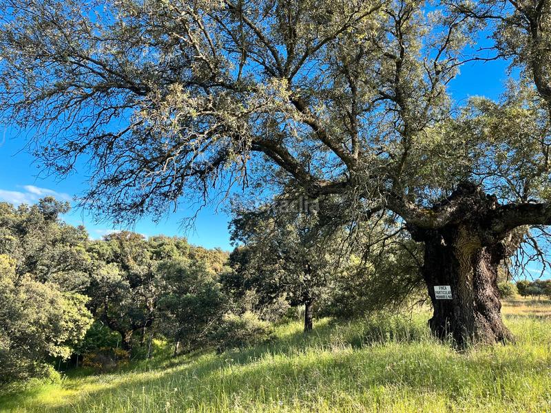 Foto edb01ce2-0f75-4191-b88c-4f4833bf3223. Masia amb xemeneia calefacció aparcament piscina a Santa Cruz del Retamar