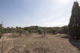 Terreny residencial a Los Cigarrales-La Bastida. Fantástica parcela