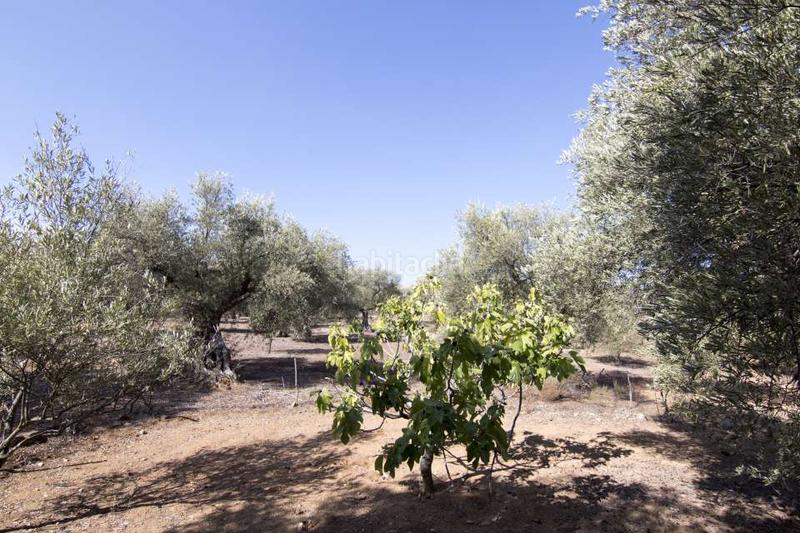 Foto 516eea50-6c9e-47e8-b44b-35c28ab5b7fd. Terreny residencial a Los Cigarrales-La Bastida Toledo