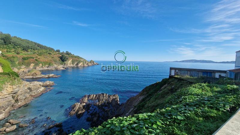 Foto 3b3d1747-2992-41fb-af64-4465e5ef45c2. Pis a Cariño