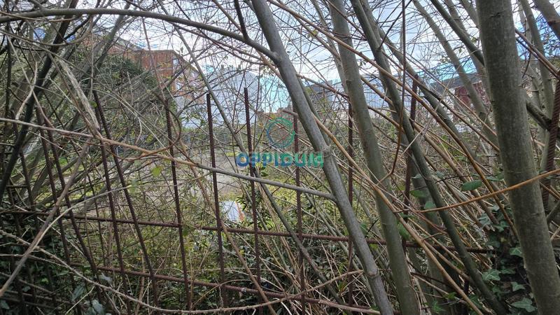 Foto 3754677b-8bf6-4cfe-a1c8-b274f28dba93. Terreny residencial a rio ferrol a Cee