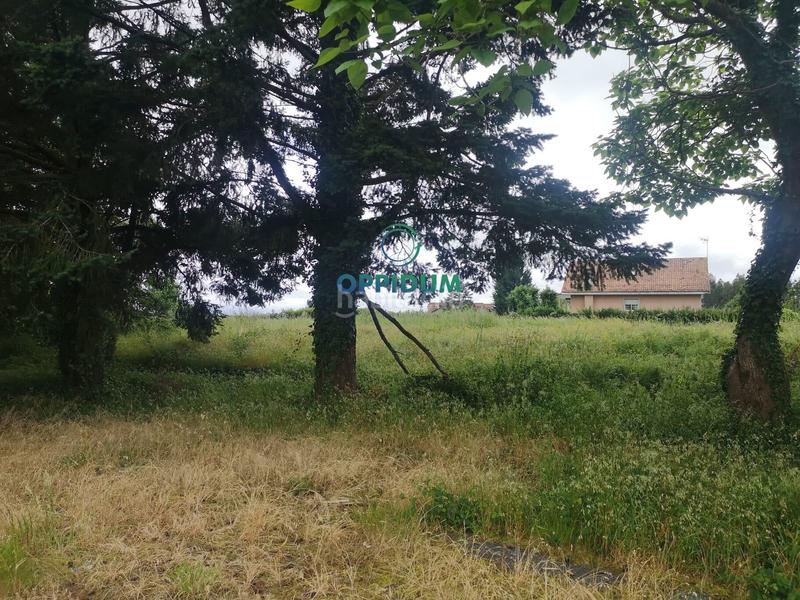 Foto e23abf47-f27b-4240-8dc8-3e2e6878da98. Terreny residencial a calle augas mansas a Teo