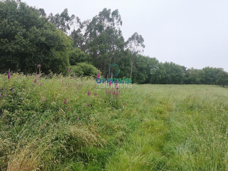 Foto 407c2876-2aea-4550-ae38-08678d4bacca. Terreno residenziale in calle calle da campiña in Santiago de Compostela