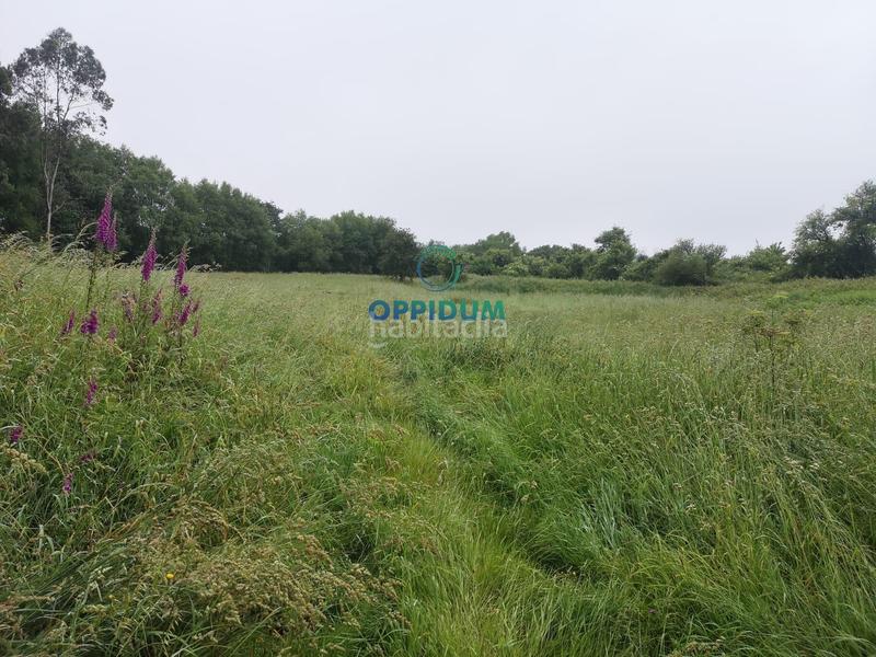 Foto 7f584ee8-3d37-4dcd-bf87-fc2e1673ff64. Terreno residenziale in calle calle da campiña in Santiago de Compostela