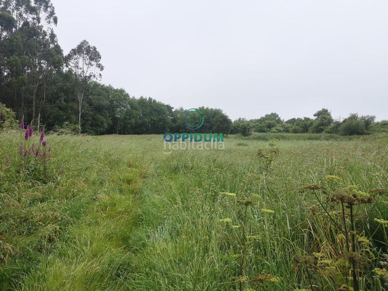 Foto d6d69b15-1b13-4282-a80e-87ff79017ca3. Terreno residenziale in calle calle da campiña in Santiago de Compostela