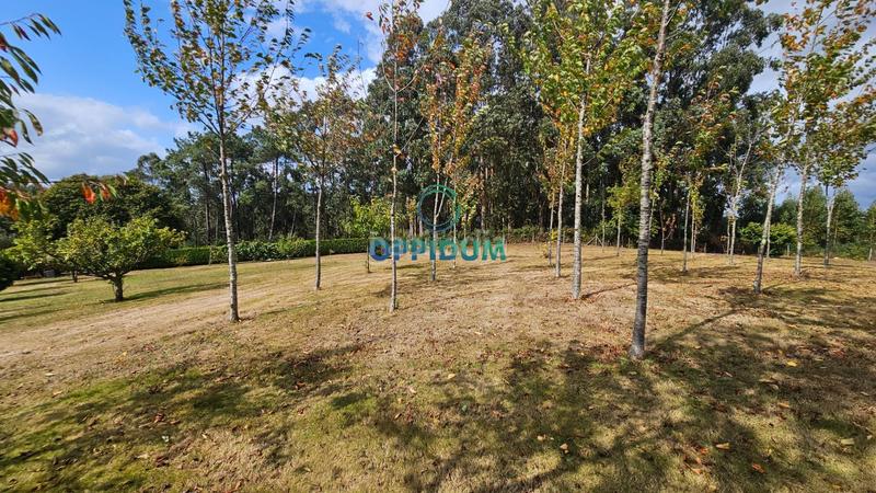 Foto 053bfcff-3dfb-41b5-a525-71623a52da66. Finca rústica a Abegondo