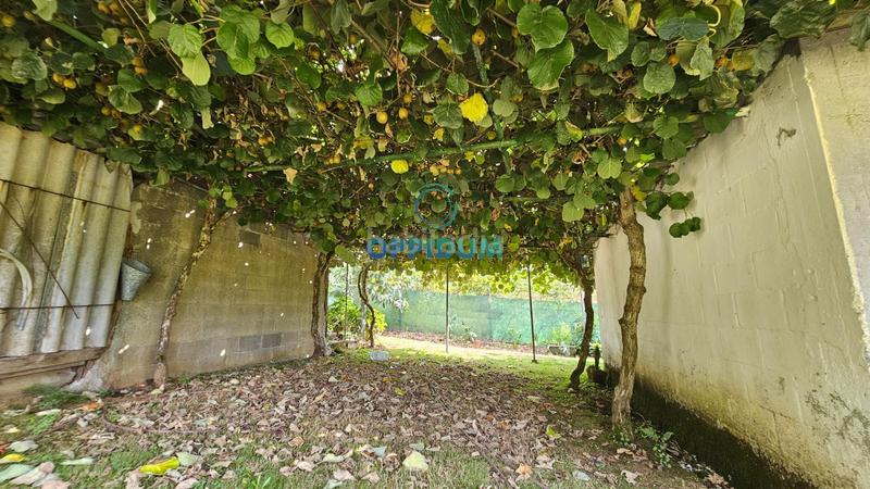Foto 0ecce60c-e2ca-4543-aa2e-4c587daa1048. Finca rústica a Abegondo