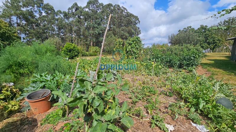 Foto 1859fb45-f6ba-4901-a7fb-a46fc2be81d2. Finca rústica a Abegondo