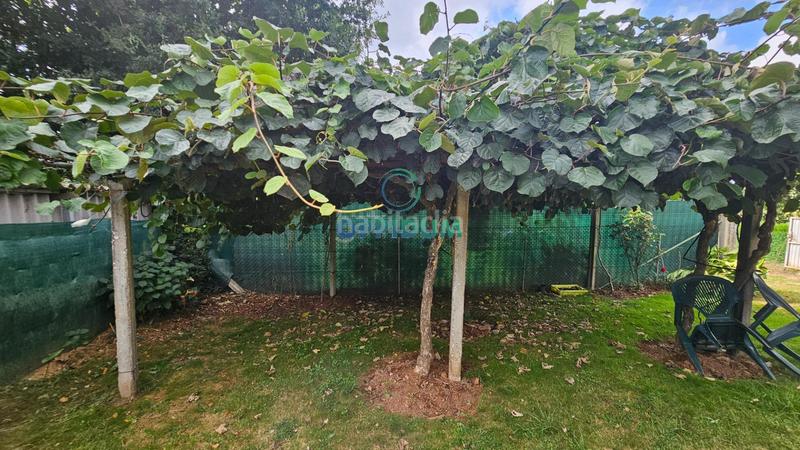 Foto 44e7387c-9d93-4554-9ecb-d0010fb9c441. Finca rústica a Abegondo