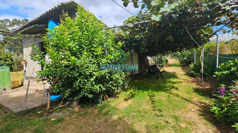 Foto 57fe9407-3698-4ca5-bd98-bc79a02d88d3. Finca rústica a Abegondo
